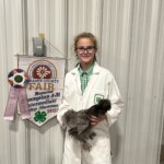 Amelia Holmes - blue silkie