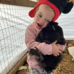 Baili Leuze - black silkie
