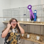 Christina Frazer - Ribbon Winning Chicken