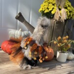 Emma Schieldt - chicken in front of fall decorations