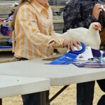 Girl happy receiving ribbon with chicken