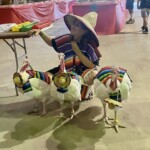 Turkeys with sombrero's on.