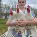 Kade Sallee with Chickens