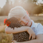 Katie Tidwell - barred rock
