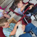 Boys holding chickens