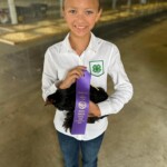 Laura Fransen - ribbon winning chicken