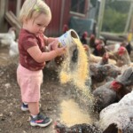 Megan Buskuehl - little girl feeding chickens