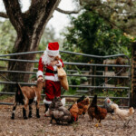 Melanie Sajnog Dressed as santa in pen