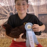 Boy holding chicken ribbon winner