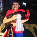 Exhibition Rhode island red