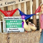 Savannah Scarborough welsh harlequin winner