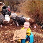 Shelby Miller - child holding sign in front of turkeys