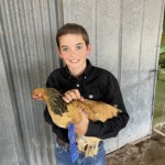 Whitney Britton - buff brahma