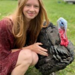 Black Spanish Turkey