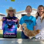 2024 Runner Up Poultry Show - Buff Polish