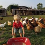 Michael Wisniewski 2024 Winner Artistic, Funny or Cute