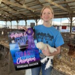 2024 Runner Up Poultry Show
