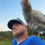 Guy with chicken on his shoulder
