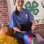 2024 Runner Up Poultry Show