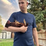 artistic contest