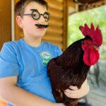 Child holding chicken with fake glasses, nose and mustache