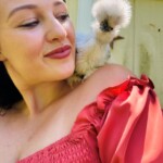 Chicken on womans shoulder