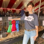 2024 Runner Up Poultry Show