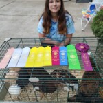 2024 Runner Up Poultry Show
