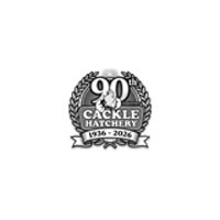 90th Logo