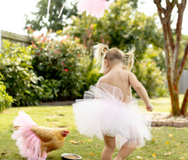 2025 Photo Contest Runner Ups