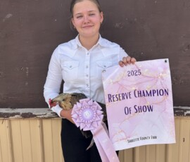 2025 Photo Contest Runner Ups