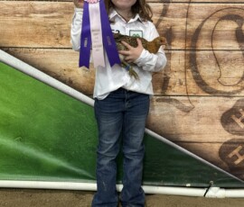 2025 Photo Contest Runner Ups