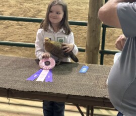 2025 Photo Contest Runner Ups