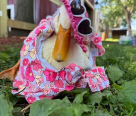2025 Photo Contest Runner Ups