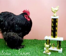 2025 Photo Contest Runner Ups