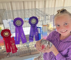 2025 Photo Contest Runner Ups