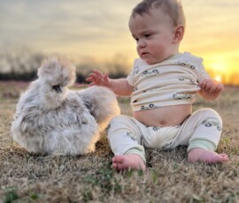 2025 Photo Contest Runner Ups