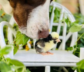 2025 Photo Contest Runner Ups