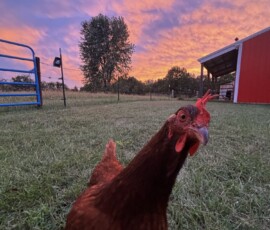 2025 Photo Contest Runner Ups