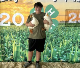 2025 Photo Contest Runner Ups