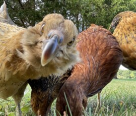 2025 Photo Contest Runner Ups