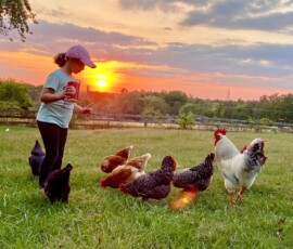 2025 Photo Contest Runner Ups
