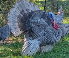 Turkey 2025 Photo Contest Runner Ups