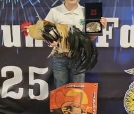 2025 Photo Contest Runner Ups