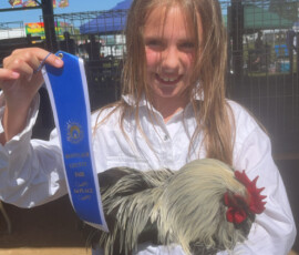 2025 Photo Contest Runner Ups