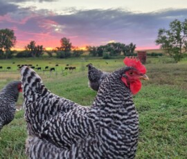 2025 Photo Contest Runner Ups