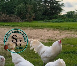 2025 Photo Contest Winners