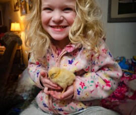 2025 Photo Contest Runner Ups