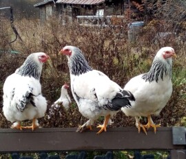 2025 Photo Contest Runner Ups