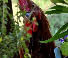 2025 Photo Contest Runner Ups